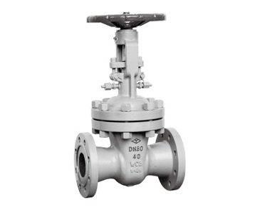 SZ41H-16 water-sealed gate valve